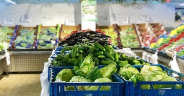 Rettersackerl & Lebensmittelrettung in Österreich